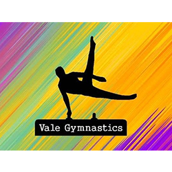 Logo Vale gymnastics